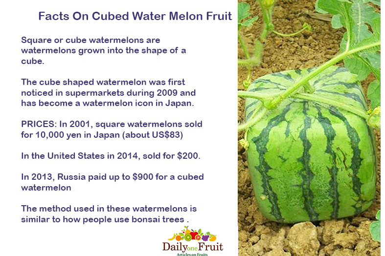 Facts-On-Cubed-Water-Melon-Fruit