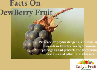 Health Benefits Of Dewberry Fruit Facts On DewBerry fruit