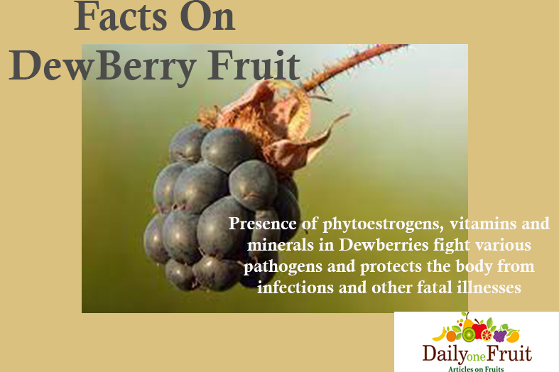 Health Benefits Of Dewberry Fruit