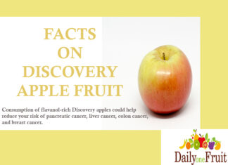 Facts On Discovery Apple Fruit Facts On Discovery Apple Fruit