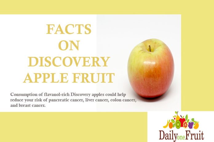 Facts On Discovery Apple Fruit - dailyonefruit