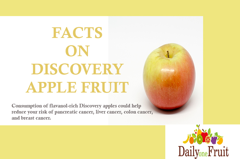 Facts On Discovery Apple Fruit