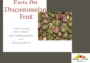 Health Facts On Dracontomelon Fruit Facts-On-Dracontomelon