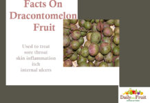 Health Facts On Dracontomelon Fruit Facts-On-Dracontomelon