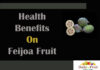 Interesting Facts On Feijoa Fruit Facts On Feijoa Fruit