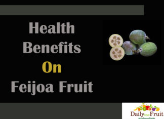 Interesting Facts On Feijoa Fruit Facts On Feijoa Fruit