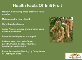 Interesting Health Facts On Imli Fruit Facts On Imli Fruit