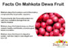 Facts On Mahkota Dewa Fruit Facts On Mahkota dewa fruit
