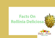 Interesting Facts On Rollinia Deliciosa Fruit Facts On Rollinia Deliciosa