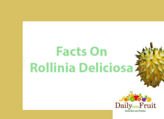 Interesting Facts On Rollinia Deliciosa Fruit Facts On Rollinia Deliciosa