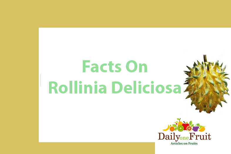 Facts On Rollinia Deliciosa