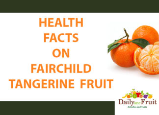 Health Facts On Fairchild Tangerine