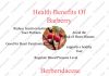 Interesting Health Benefits of Barberry Interesting Health Benefits of Barberry