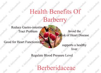 Interesting Health Benefits of Barberry Interesting Health Benefits of Barberry