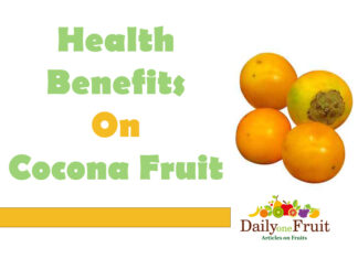 Health Benefits On Cocona Fruit Health Benefits On Cocona Fruit
