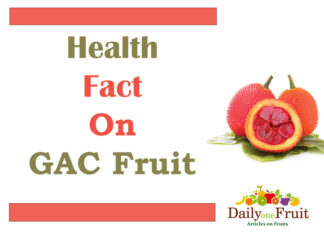 Health Benefits On GAC Fruit Health Benefits On GAC Fruit