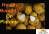 Health Benefits On Platonia Health Benefits On Platonia