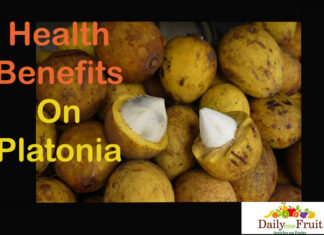 Health Benefits On Platonia Health Benefits On Platonia