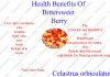 Bittersweet Health Benefits Bittersweet Health Benefits