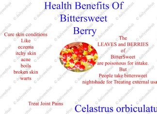 Bittersweet Health Benefits Bittersweet Health Benefits