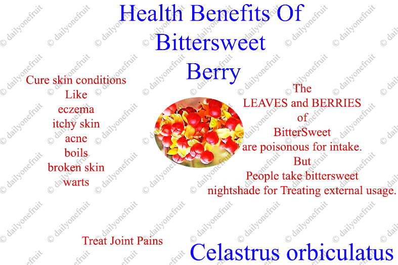 ﻿Bittersweet Health Benefits