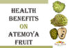 Health Benefits Of Atemoya Fruit Health Benefits of atemoya fruit