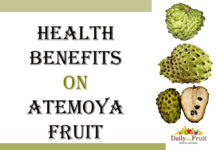 Health Benefits Of Atemoya Fruit Health Benefits of atemoya fruit