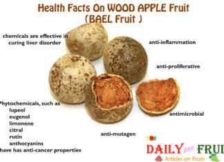 Interesting Health Facts On Wood Apple Fruit Health-Fact-On-Wood-Apple-Fruit