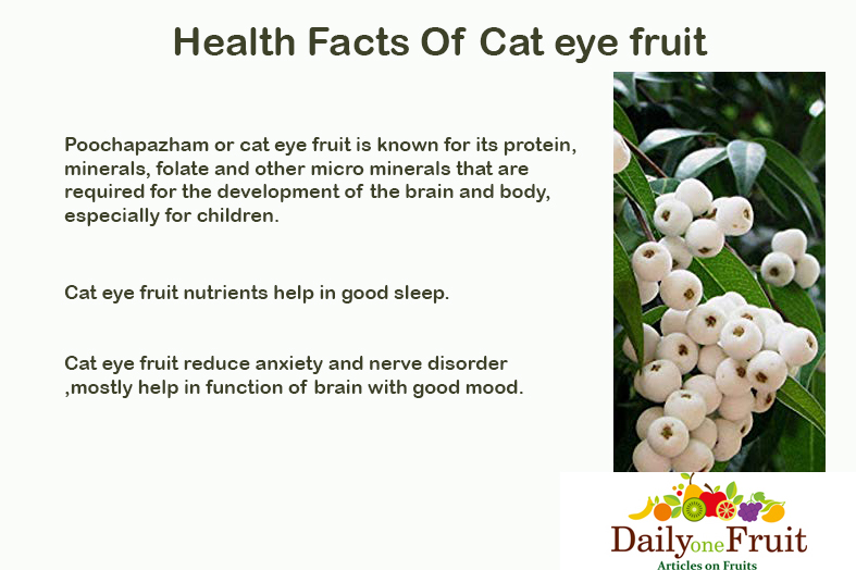 Health Facts Of Cat eye Fruit
