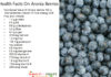 Health Facts On Aronia Berry Health-Facts-On-Aronia-berry