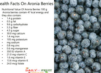 Health Facts On Aronia Berry Health-Facts-On-Aronia-berry