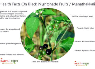 Interesting Health Facts On Black NightShade Manathakali Health Facts On Black NightShade