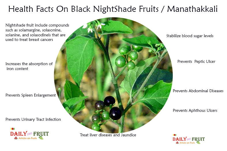 Health Facts On Black NightShade