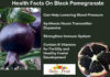 Health Facts On Black Pomegranate Health Facts On Black Pomegranate