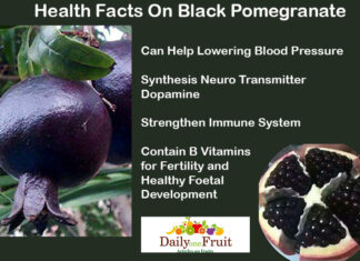Health Facts On Black Pomegranate Health Facts On Black Pomegranate