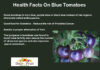 Health Facts On Blue tomatoes Health-Facts-On-Blue-tomatoe