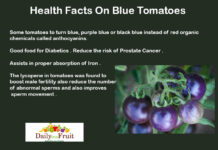 Health Facts On Blue tomatoes Health-Facts-On-Blue-tomatoe