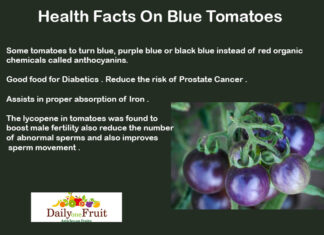 Health Facts On Blue tomatoes Health-Facts-On-Blue-tomatoe