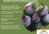 Interesting Health Facts On Damson Plum Health Facts On Damson Plum