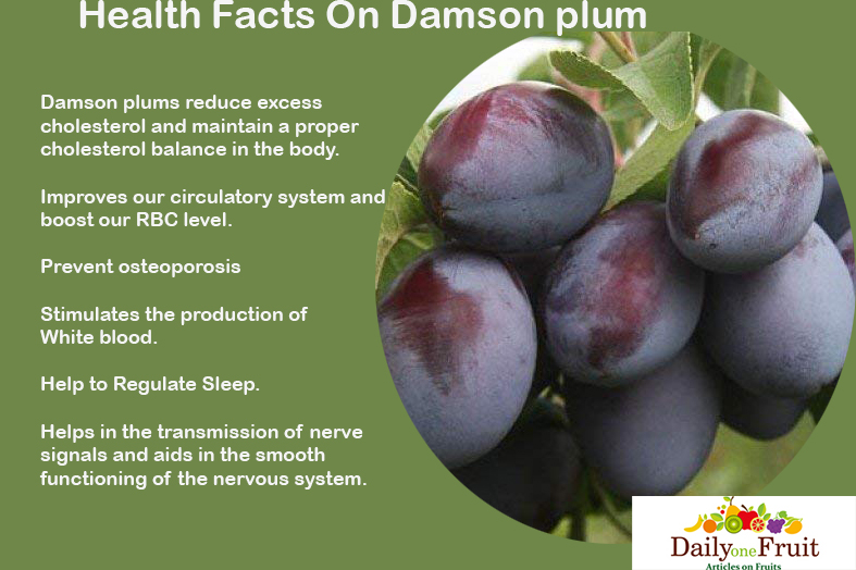 Health Facts On Damson Plum