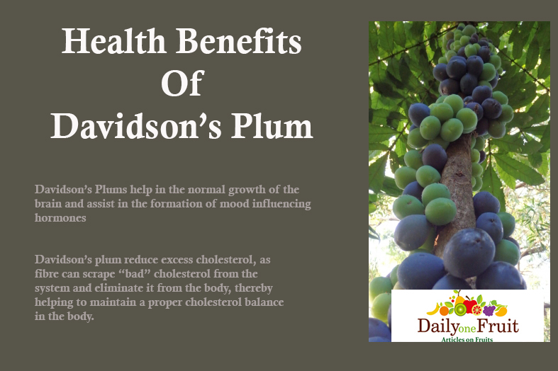 Health Facts On Davidson plum