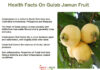 Health Facts On Gulab Jamun Fruit Health Facts On Gulab Jamun Fruit