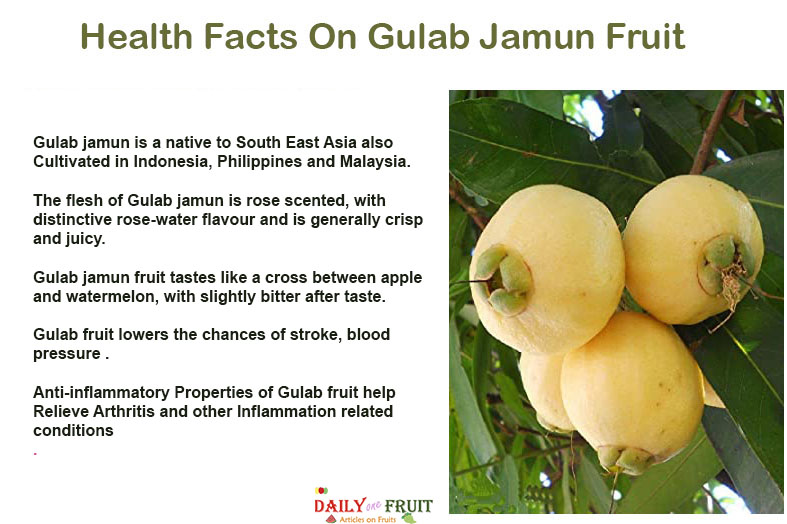 Health Facts On Gulab Jamun Fruit