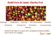 Health Facts On Jujube Elanthai fruit Health-Facts-On-Jujube-Fruit