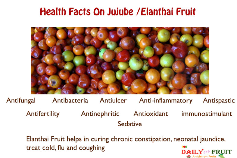 Health-Facts-On-Jujube-Fruit