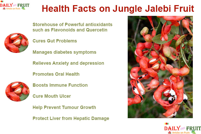 Health Facts On Jungle jalebi Fruit