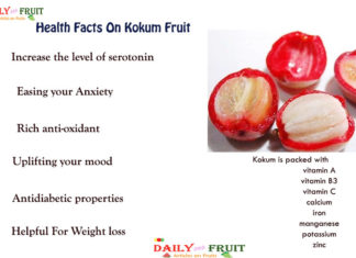 Interesting Health Facts On Kokum Fruit Health-Facts-On-Kokum-Fruit