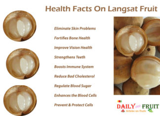 Interesting Health Facts On Langsat Fruit Health-Facts-On-Langsat-Fruit