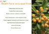Interesting Health Facts On Loquat fruit Health-Facts-On-Loquat-fruit