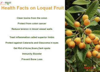 Interesting Health Facts On Loquat fruit Health-Facts-On-Loquat-fruit
